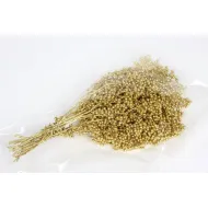 PEPPERBERRY GOUD SMALL BOPP/kraft hobbyverpakking