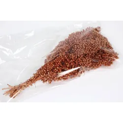 PEPPERBERRY CUIVRE SMALL BOPP/kraft emballage hobby