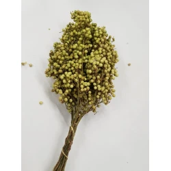 PEPPERBERRY LIGHT GREEN SMALL BOPP/kraft Small packaging