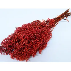 PEPPERBERRY RED SMALL BOPP/kraft Small packaging