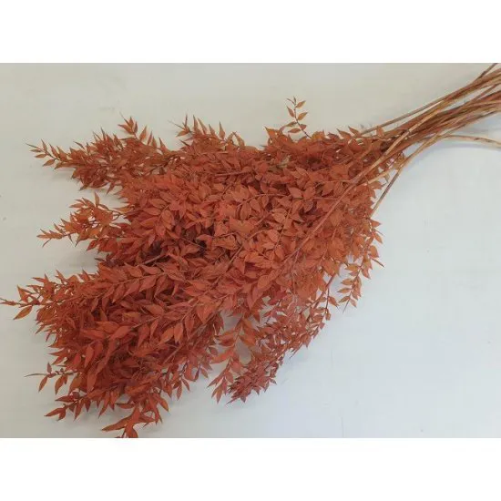 RUSCUS LICHTBRUIN +/-500GR