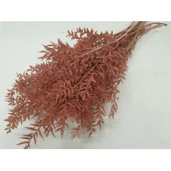 RUSCUS POWDER ROSE +/-500GR
