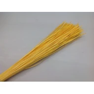 CANE BUNDLE FLAT YELLOW 60CM