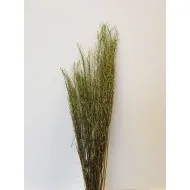 SARASH BUNCH APPELGROEN +/-110CM +/-100GR