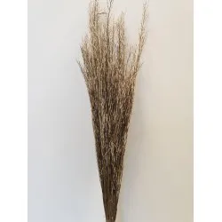 SARASH BUNCH NATURAL +/-110CM +/-100GR