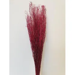 SARASH BUNCH RED +/-110CM +/-100GR