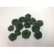 WILD APPLE MINI / PARAS PEEPLE APPELGROEN (DONKER) +/-250GR