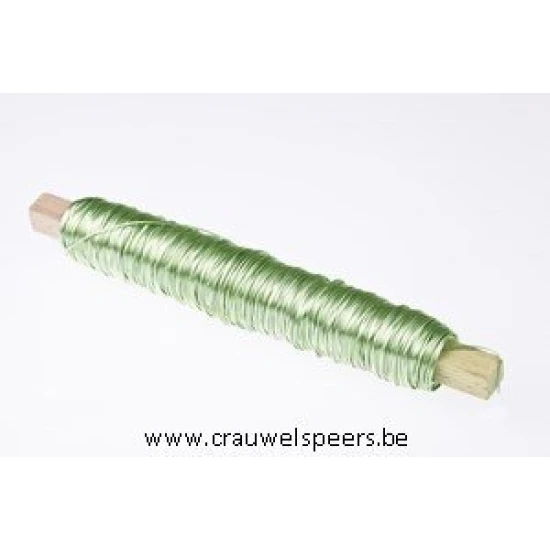 FIL DE FER  MENTHE SUR BATONNET EN BOIS 0.50MM 50M 100GR