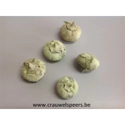WILD APPLE MINI RUW MENTHE +/-100GR