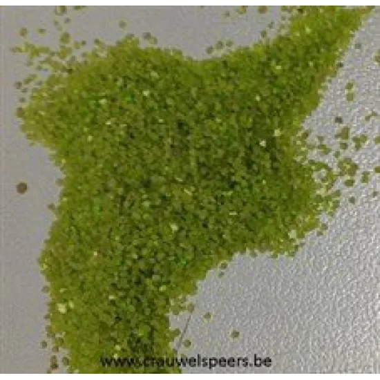 SAND APPLE GREEN 5KG