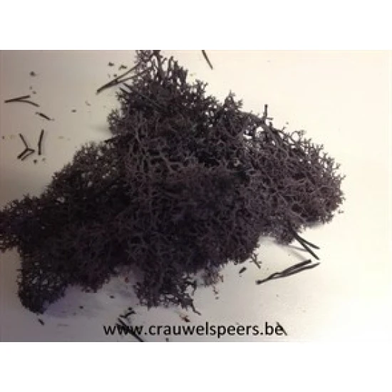 MOUSSE D'ISLANDE STABILISEE NOIR +/-450GR