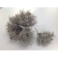 IRON BUSH OP STOK 10CM CARAMEL WAX 5ST