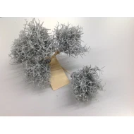 IRON BUSH OP STOK 10CM WHITE WAX 5ST