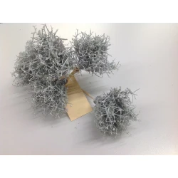 IRON BUSH OP STOK 10CM WHITE WAX 5ST