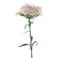 DIANTHUS SPRAY LIGHT PINK 55CM
