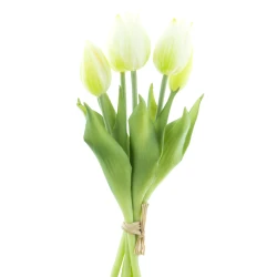 TULP BUNDEL 25CM WIT