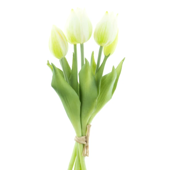 TULIP BUNDLE 25CM WHITE